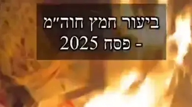 אביב בחיפה: ביריד בחסות גולדסטאר, שפכו את הבירה לביוב ואת מגשי הפיצות השליכו ושרפו