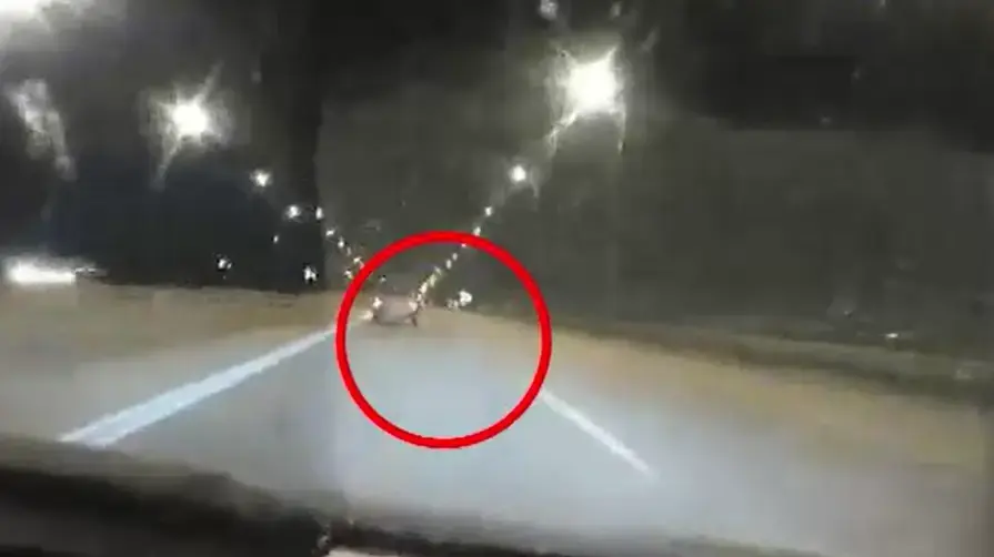 תיעוד המרדף בכביש 40