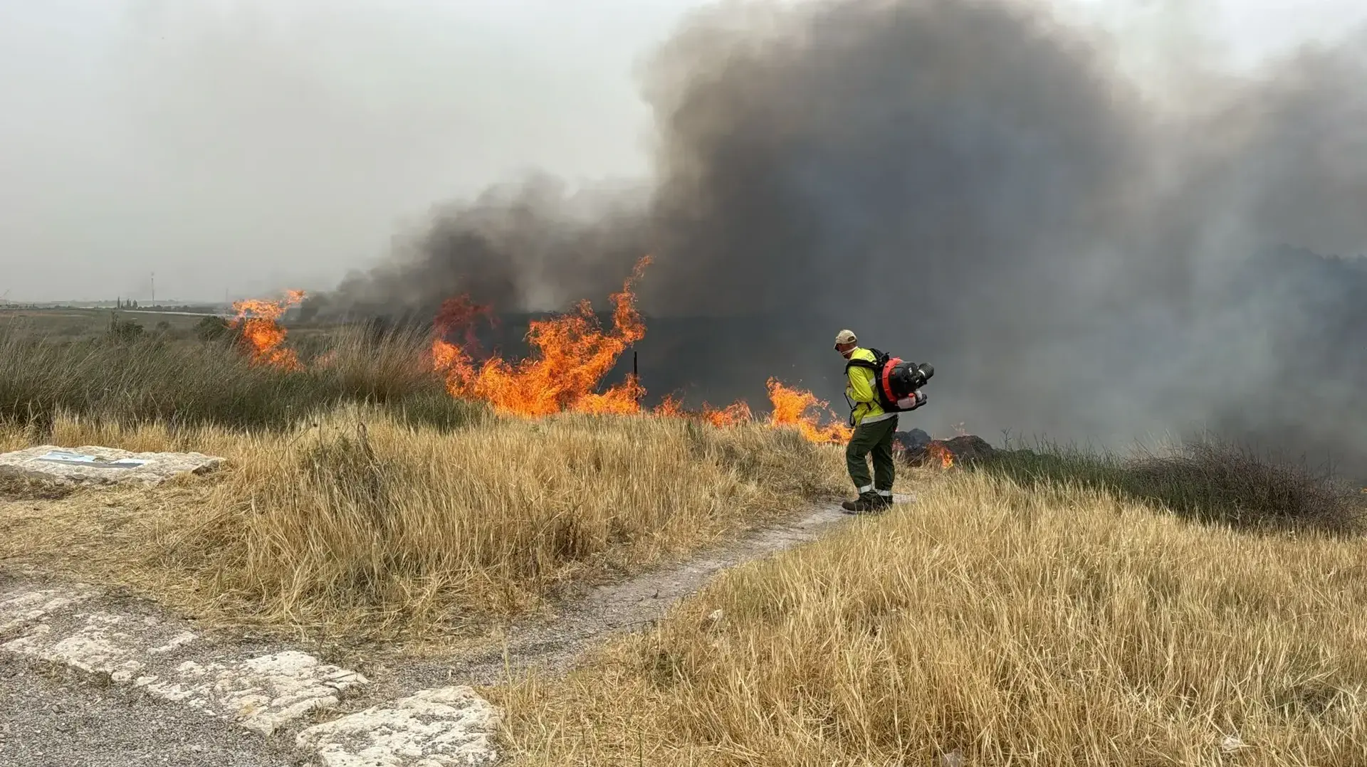 השריפה בשמורת הטבע מעיינות גיבתון