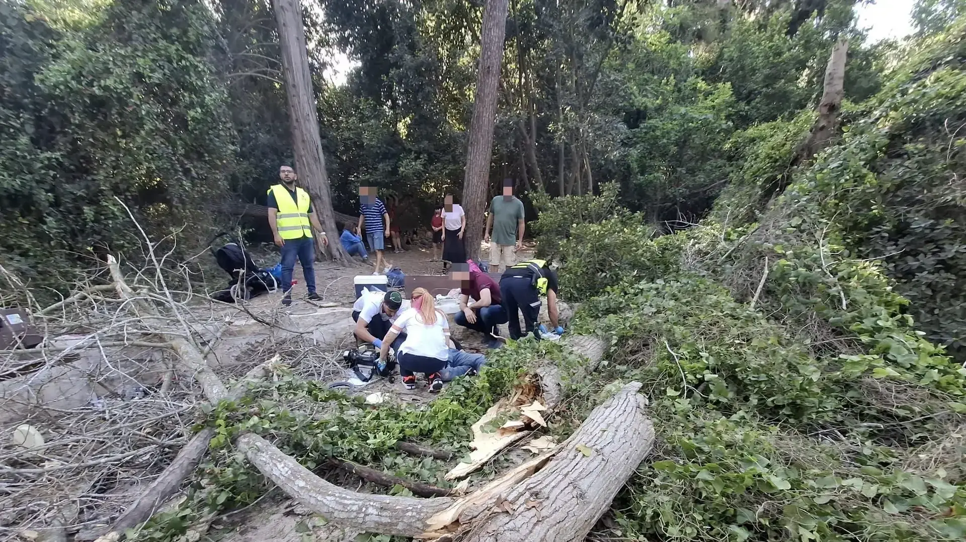 תינוקת ושני מבוגרים נפצעו מנפילת עץ בנחל השופט, 25 באפריל 2025