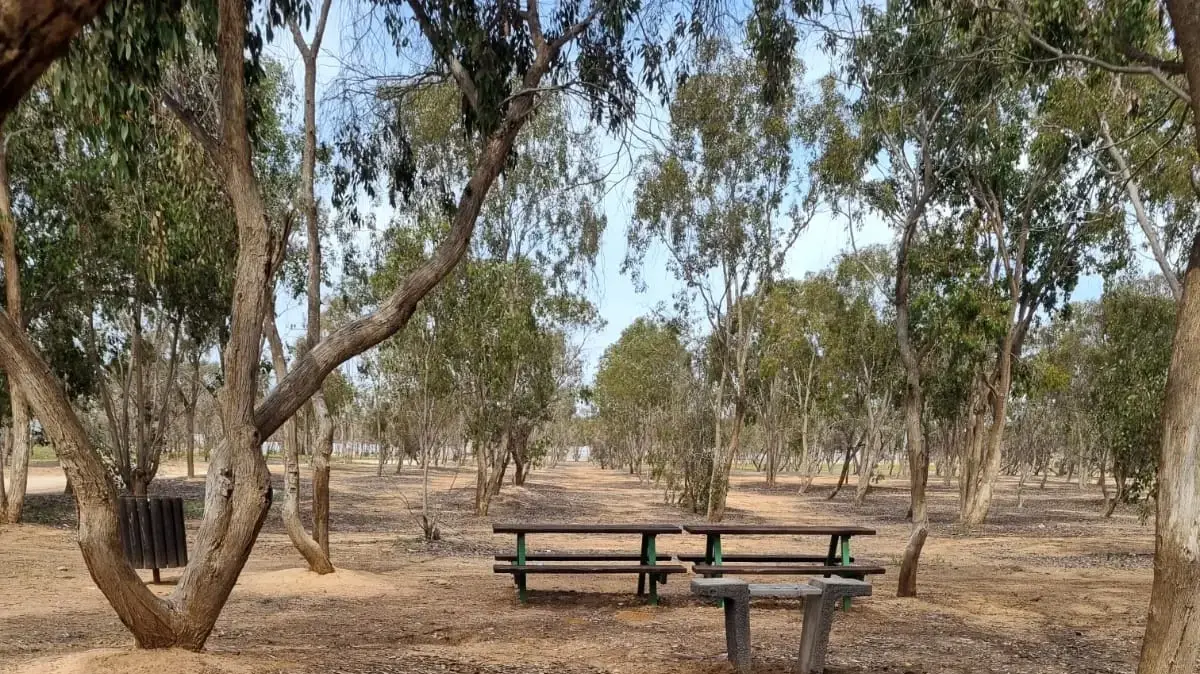 ארכיון הצילומים של קק"ל