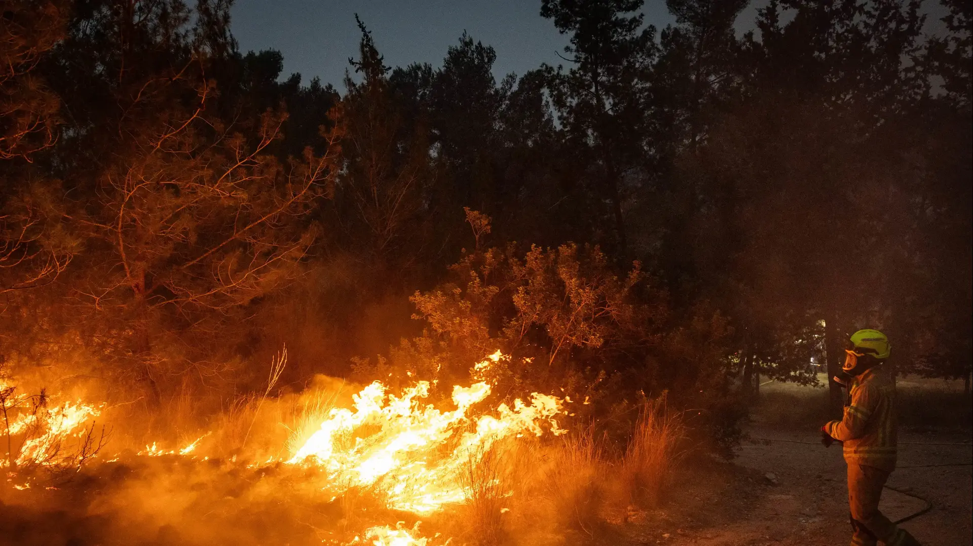 שריפה בפארק קנדה באיזור ירושלים, 30 באפריל 2025 שריפה בפארק קנדה באיזור ירושלים, 30 באפריל 2025