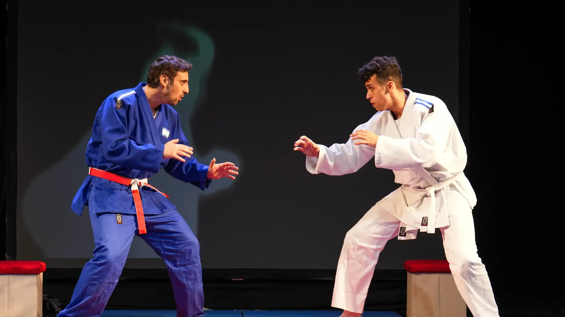 מתוך הצגת הילדים "אלוף ישראל" של תיאטרון השעה הישראלי העוסקת באורן סמדג'ה