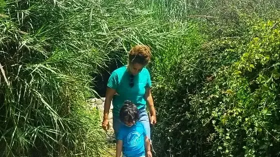עין עמיקם
