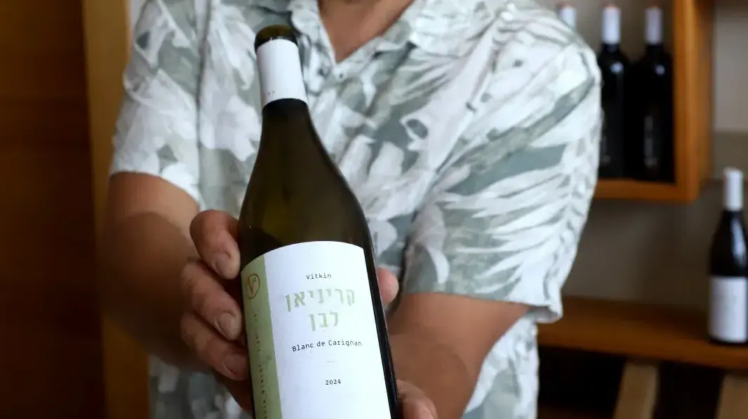יקב ויתקין, קריניאן לבן