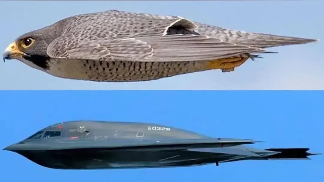 מטוס B-2 ובז