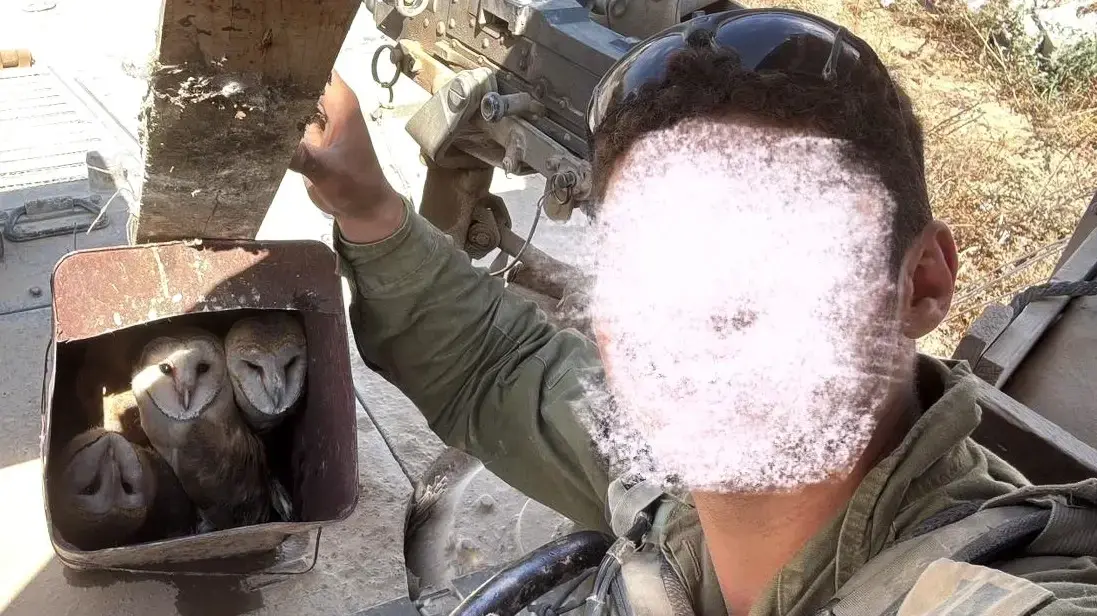 לוחמים חילצו ארבע תנשמות במהלך פעילות מבצעית בעזה