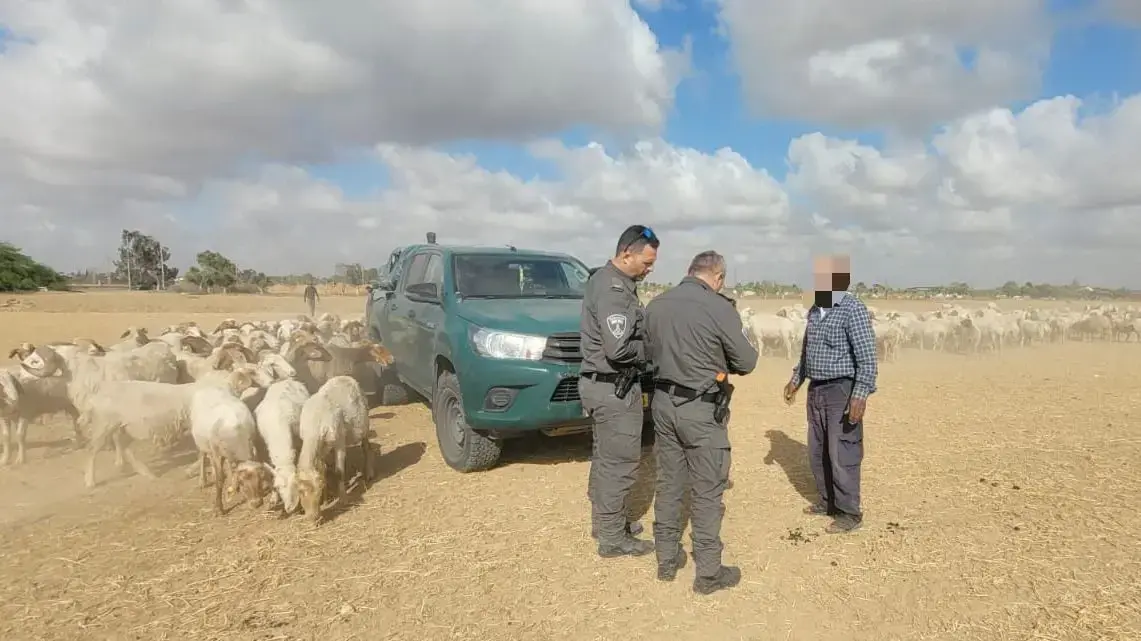 אחד הרועים מקבל קנס במושב בטחה