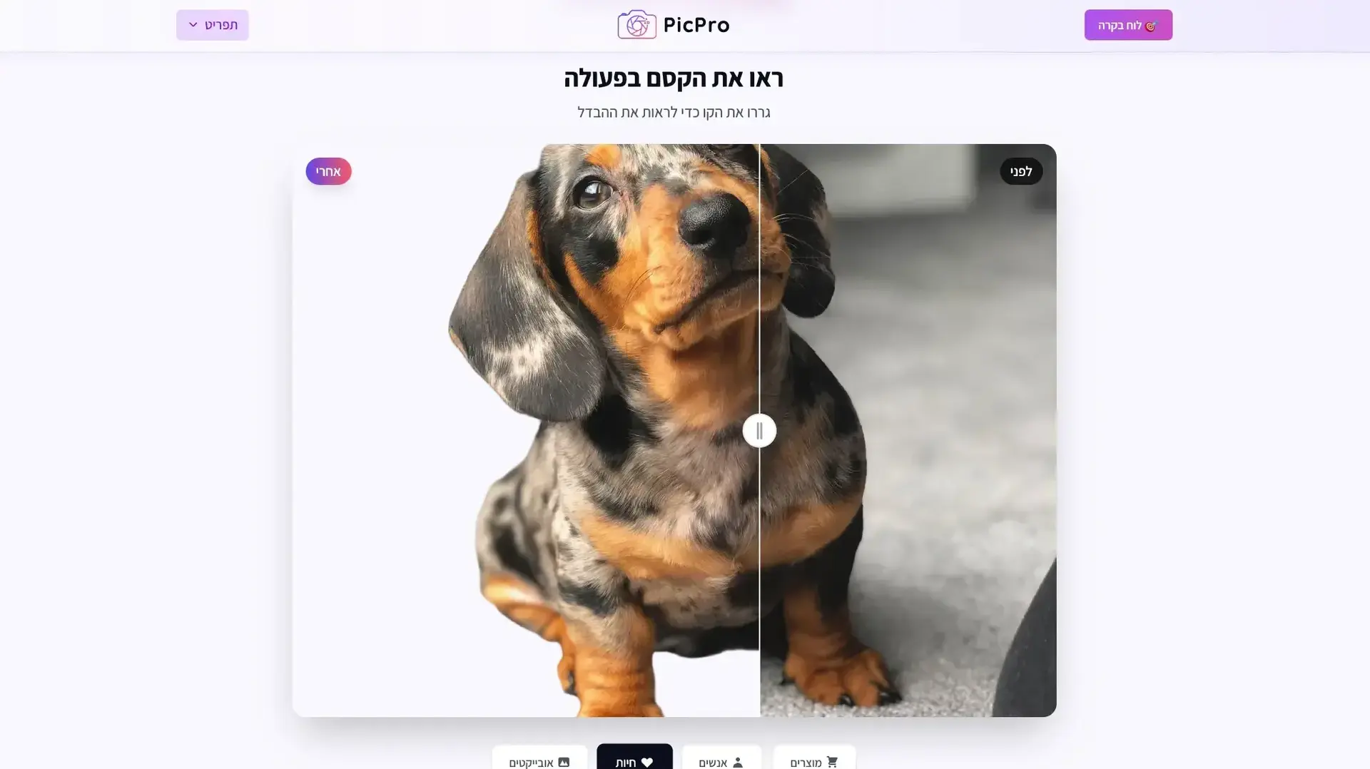 חבילת כלי AI חדשנית להסרת רקעים ויצירת צילומי תדמית