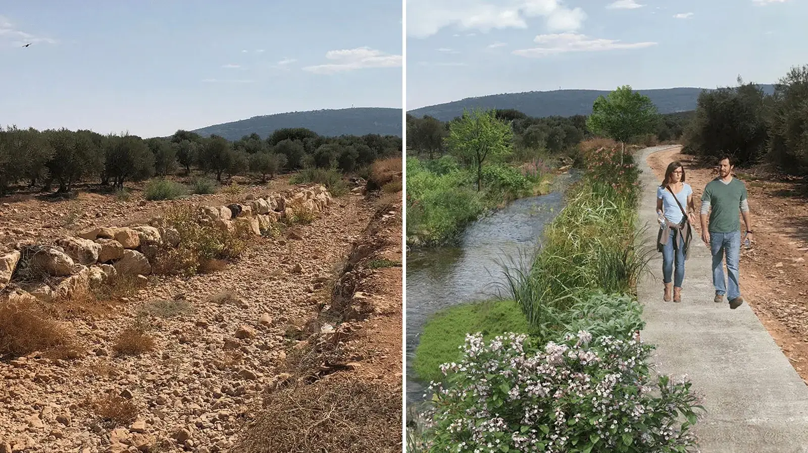 ‏‏שיקום נחל צלמון מקטע עמק הזיתים - מצב מתוכנן