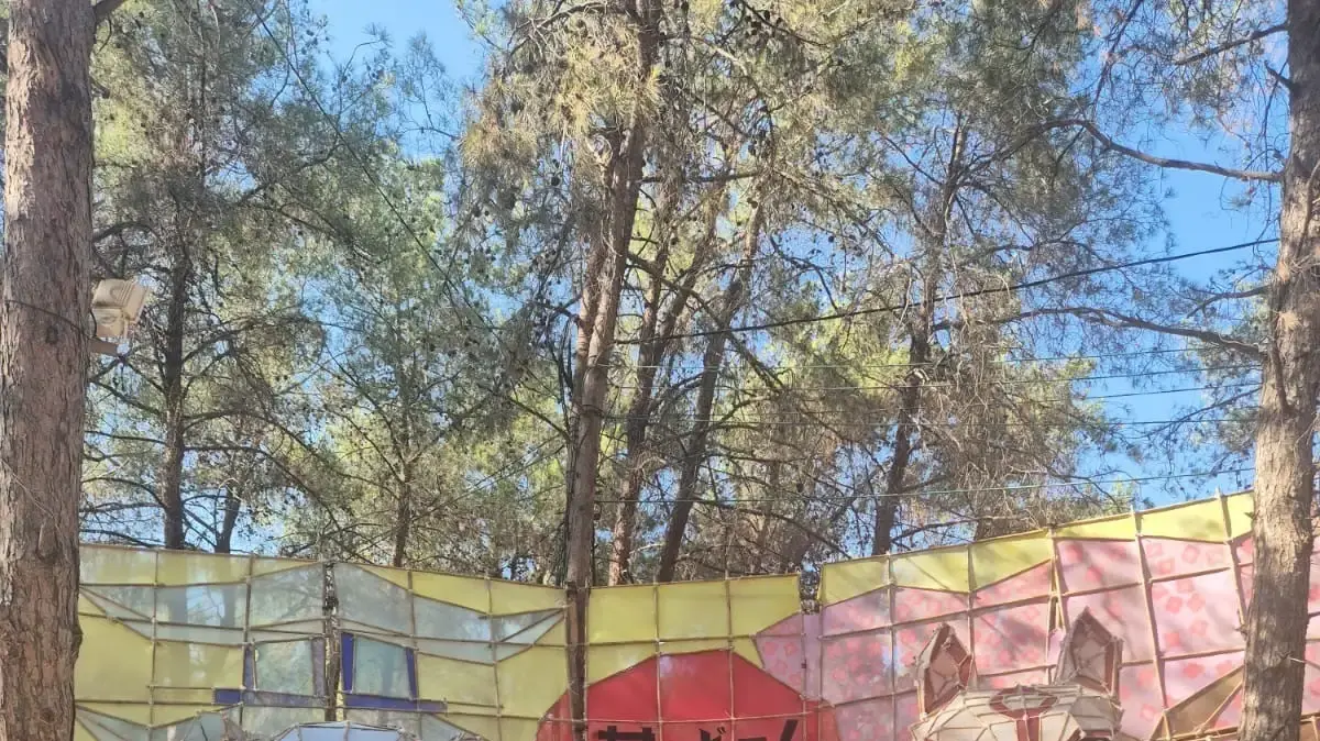 ההנצחה של שבט הצופים בציפורי