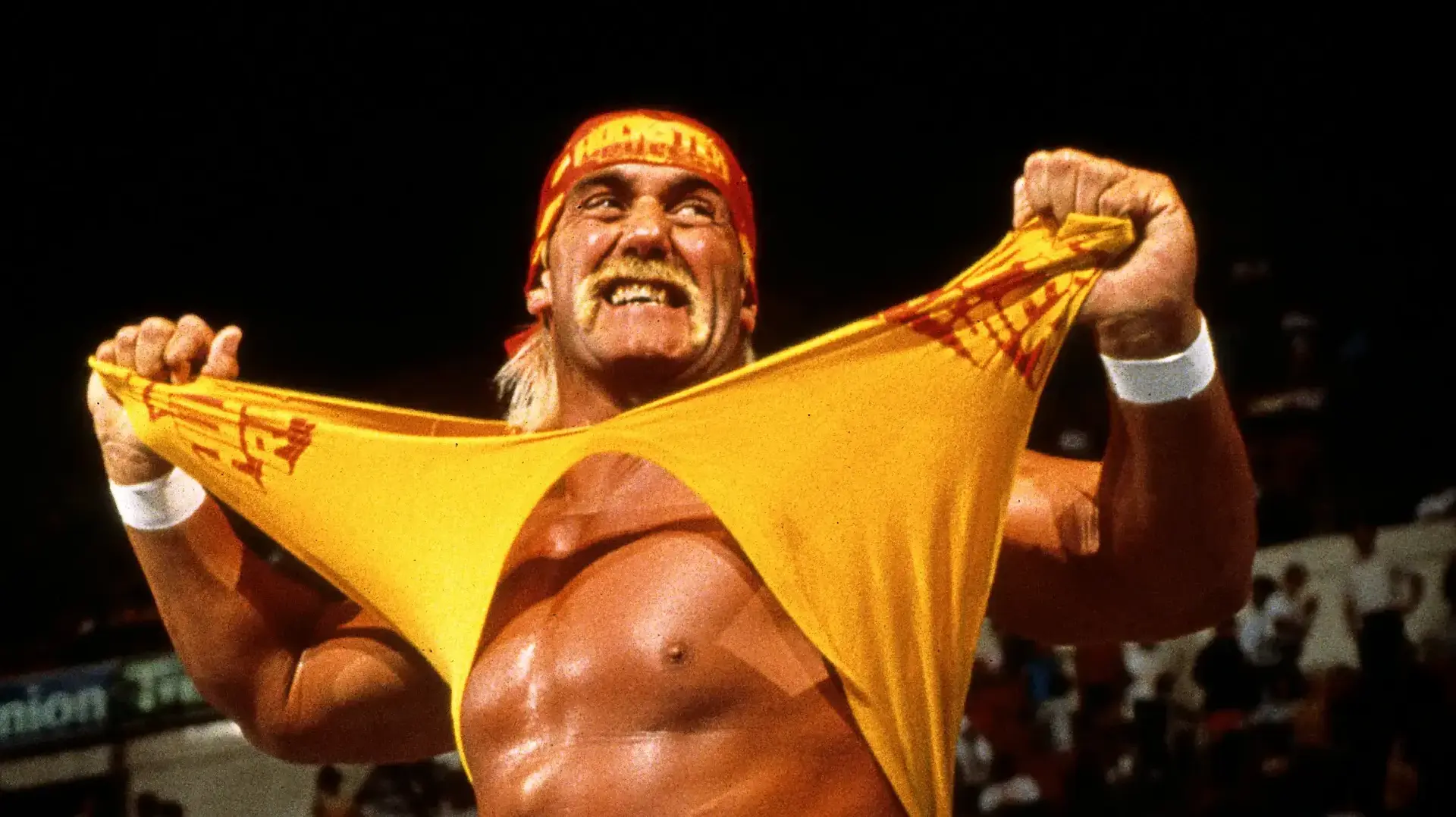 \האלק הוגאן \בזירה במהלך רויאל ראמבל של ה-WWE במיאמי ארנה ב-19 בינואר 199 \האלק הוגאן \בזירה במהלך רויאל ראמבל של ה-WWE במיאמי ארנה ב-19 בינואר 199