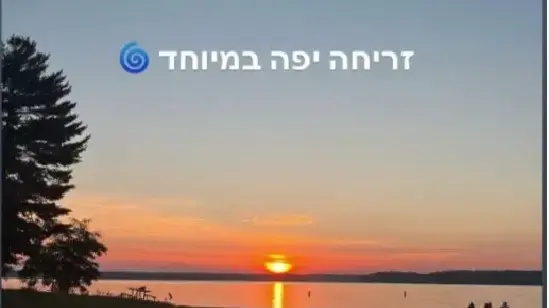 אלון אבוטבול סטורי