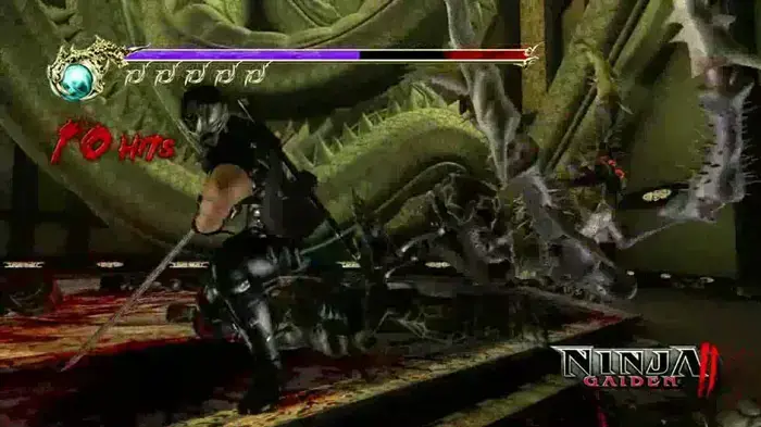 Ninja Gaiden 2