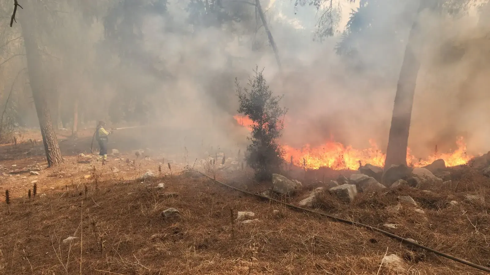 שריפה יער בית קשת