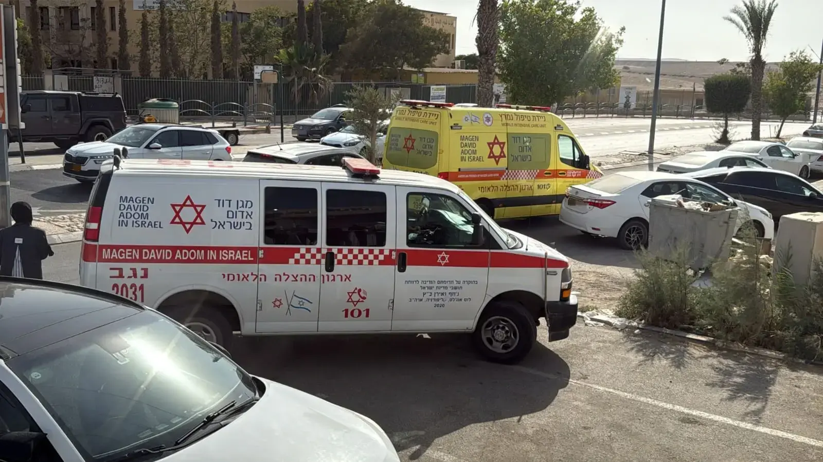 פעילות מגן דוד אדום