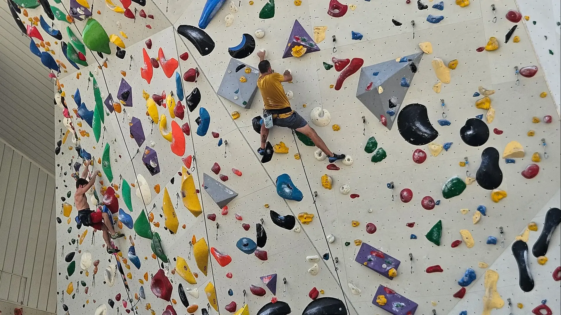 The wall, מתחם קיר טיפוס, מודיעין The wall, מתחם קיר טיפוס, מודיעין