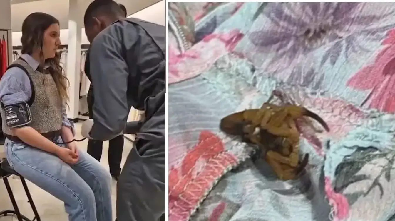 סטודנטית נעקצה ע"י עקרב בחדר מדידות בסניף של זארה