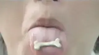 אשפי המנטוס