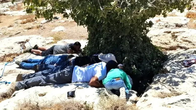 2 צבאים נפלו לבור ליד הישוב מעלה מכמש, וחולצו