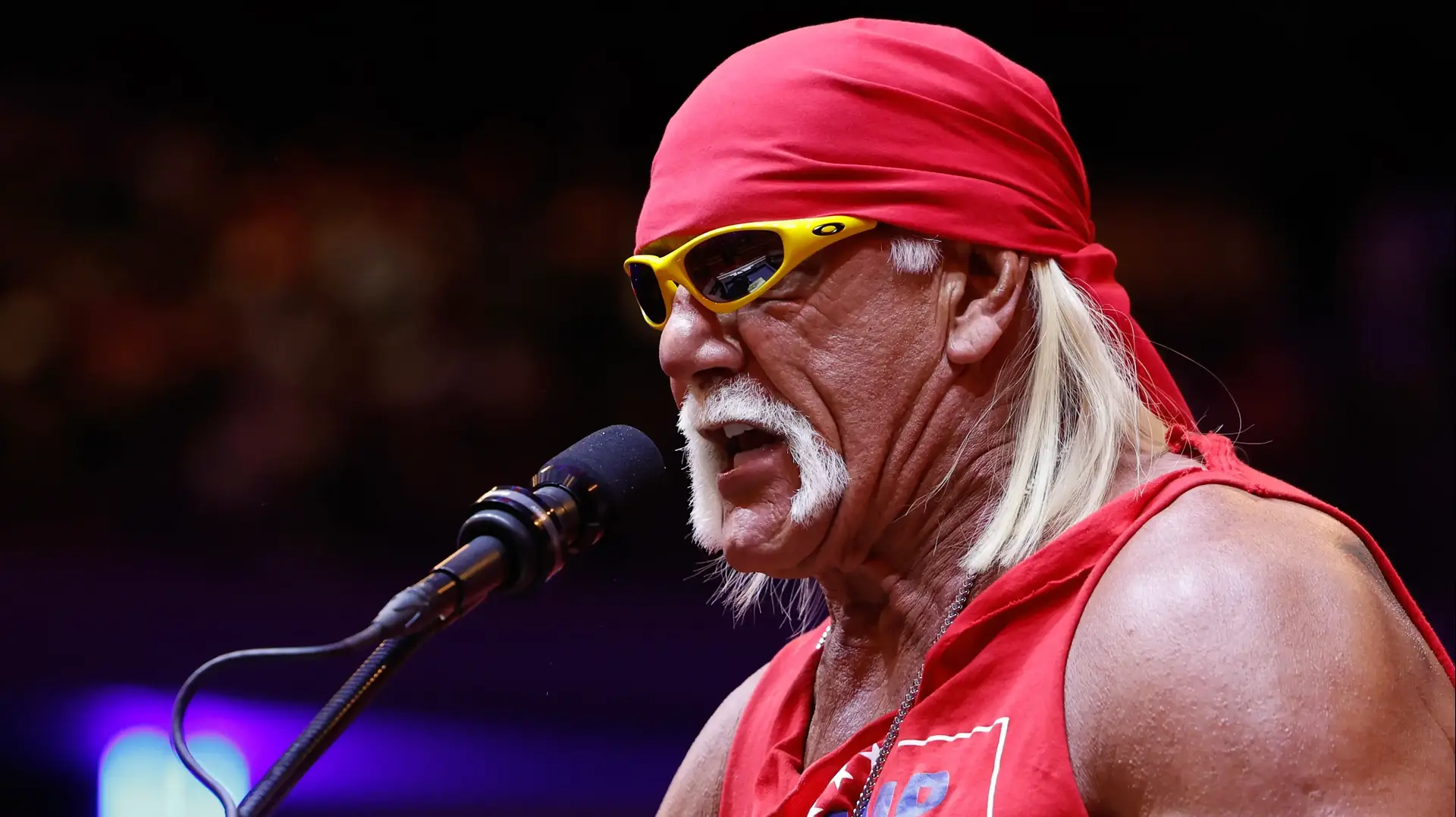 האלק הוגאן האלק הוגאן