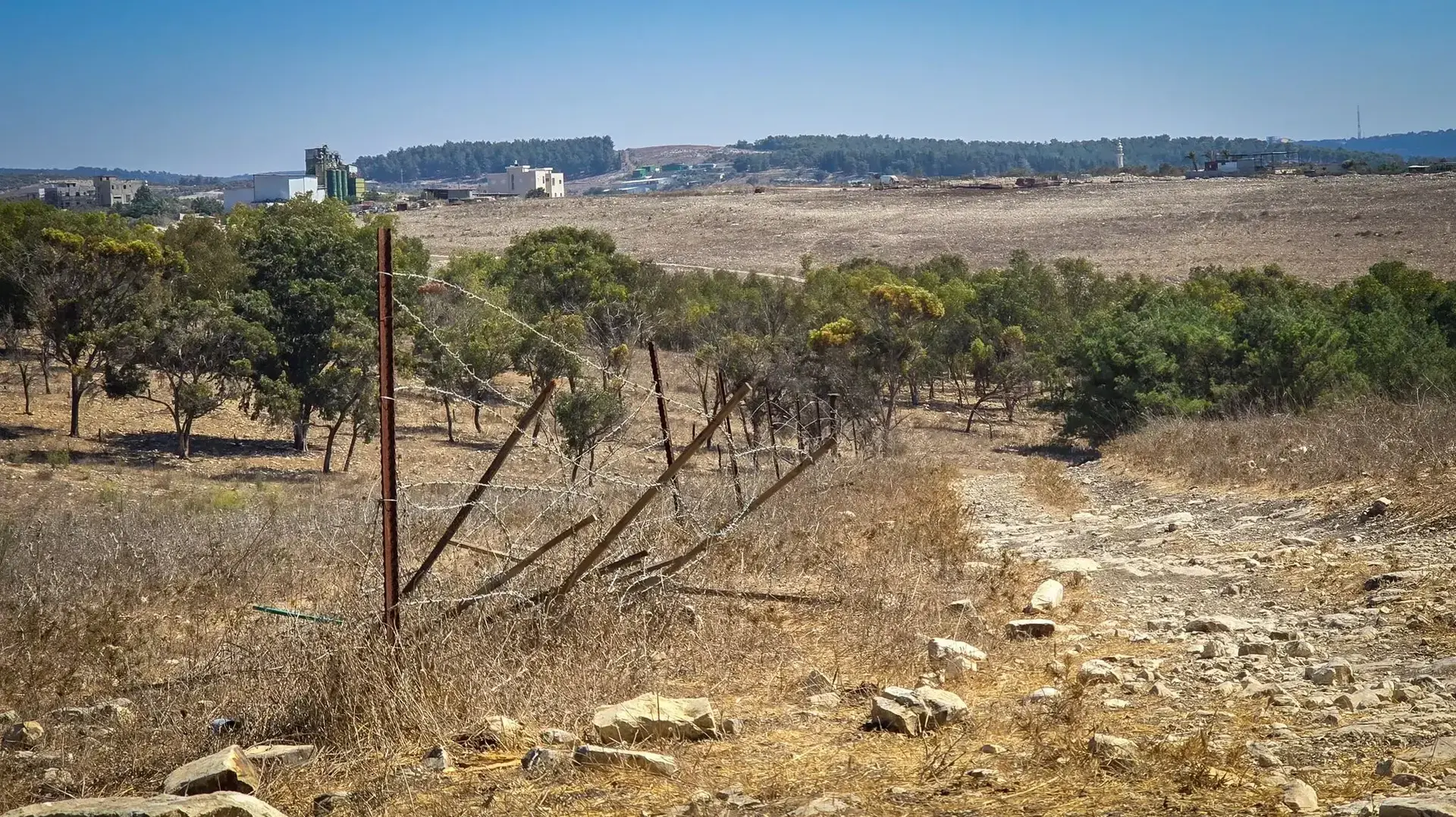 כ-35 קילומטרים של גדרות בקר נחתכו בסוף השבוע בשטח המועצה האיזורית מגידו