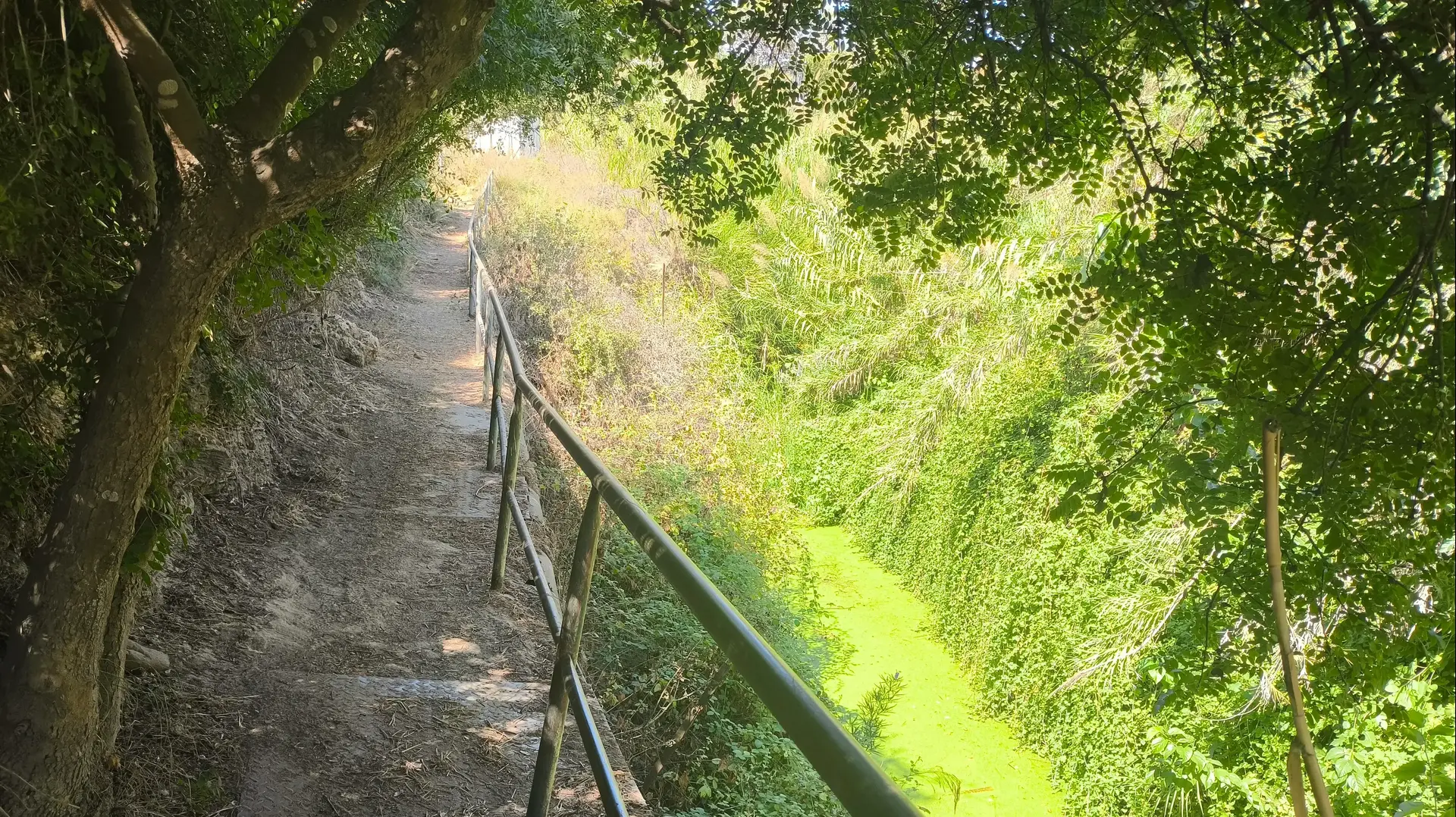 שמורת שער פולג ופארק יקום