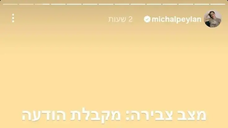 מיכל פעילן