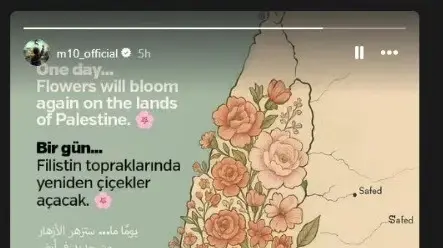 תמונה שצייץ מסוט אוזיל תמונה שצייץ מסוט אוזיל