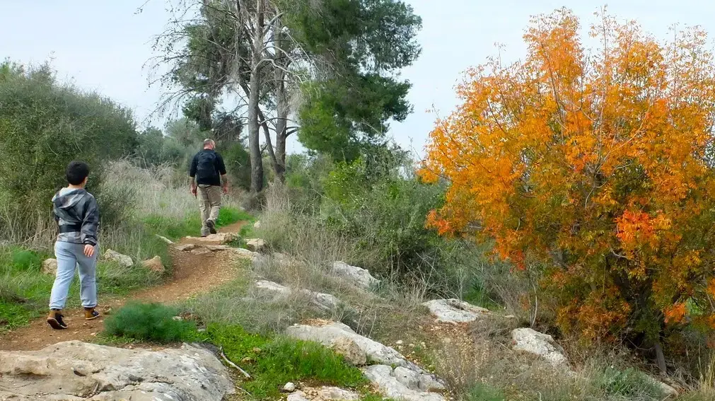 שביל האלות, פארק בריטניה