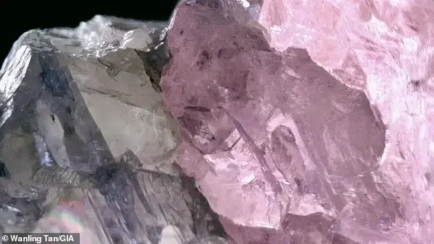 היהלום הנדיר שנמצא בבוטסואנה
