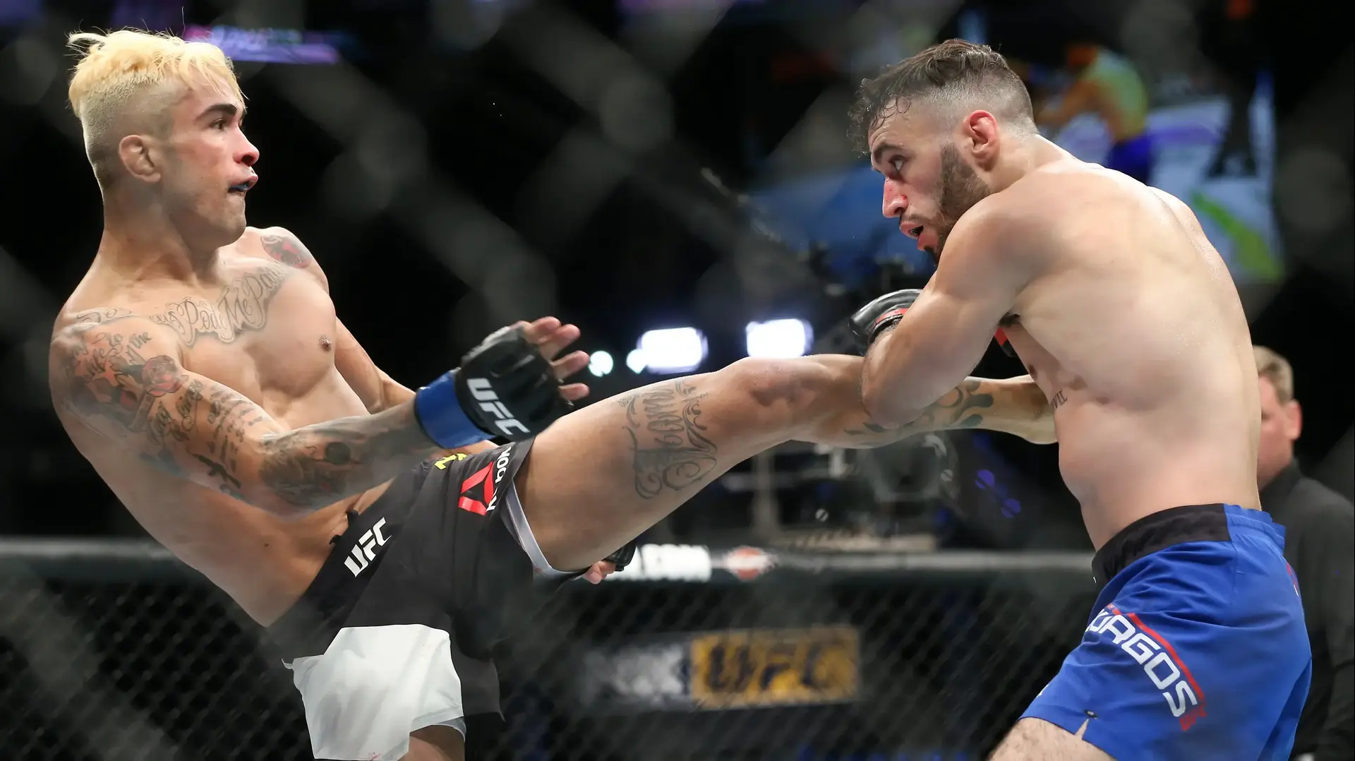 לוחם ה-UFC גודופרדו פפה (משמאל) לוחם ה-UFC גודופרדו פפה (משמאל)