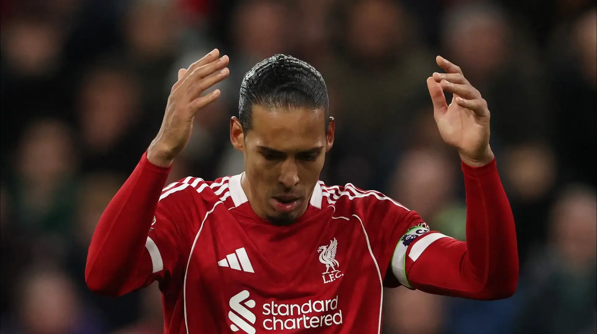 וירג'יל ואן דייק, בלם ליברפול וירג'יל ואן דייק, בלם ליברפול