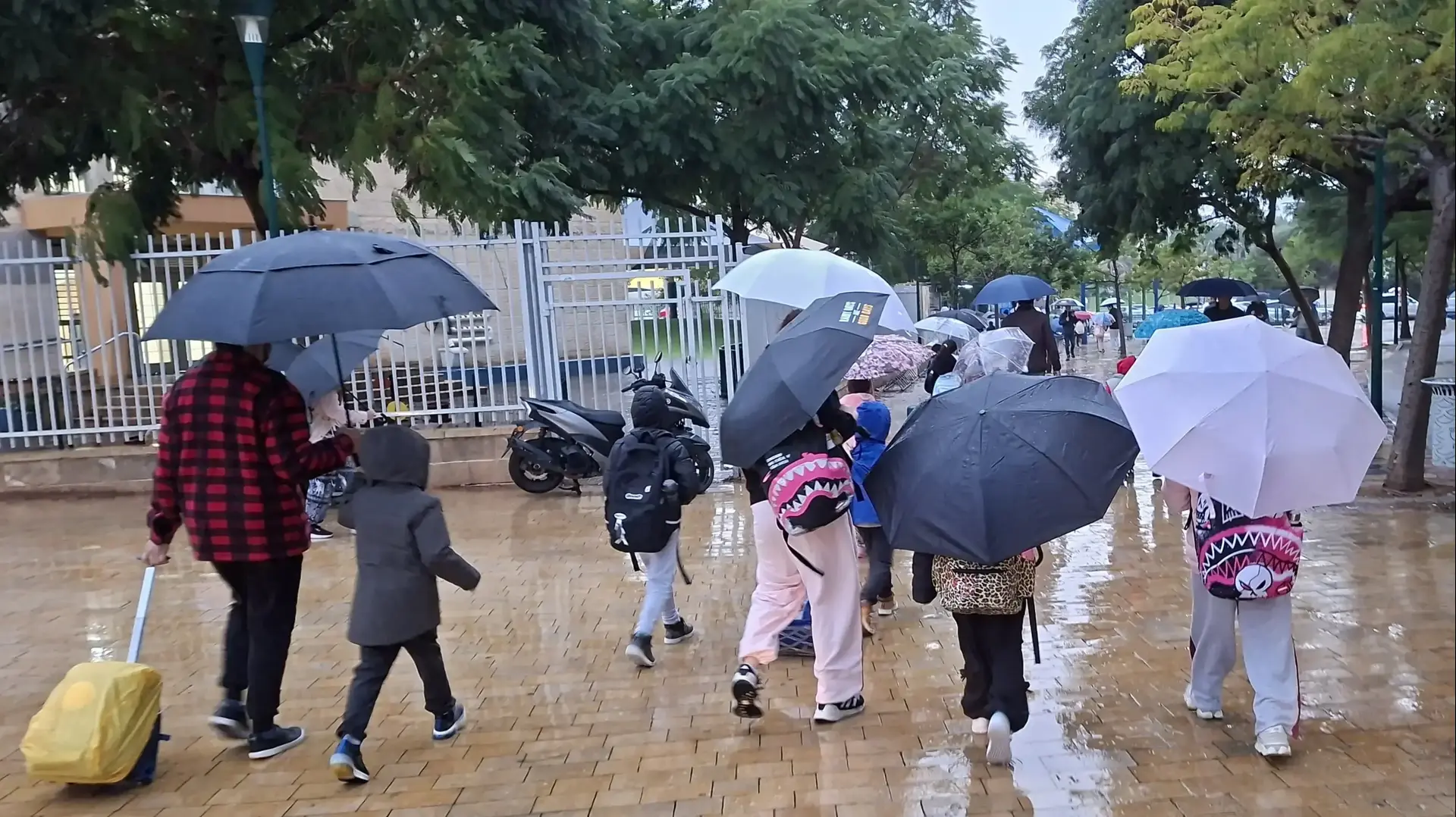 גשם
סטפת ביירון
מטריות
ילדים גשם
סטפת ביירון
מטריות
ילדים