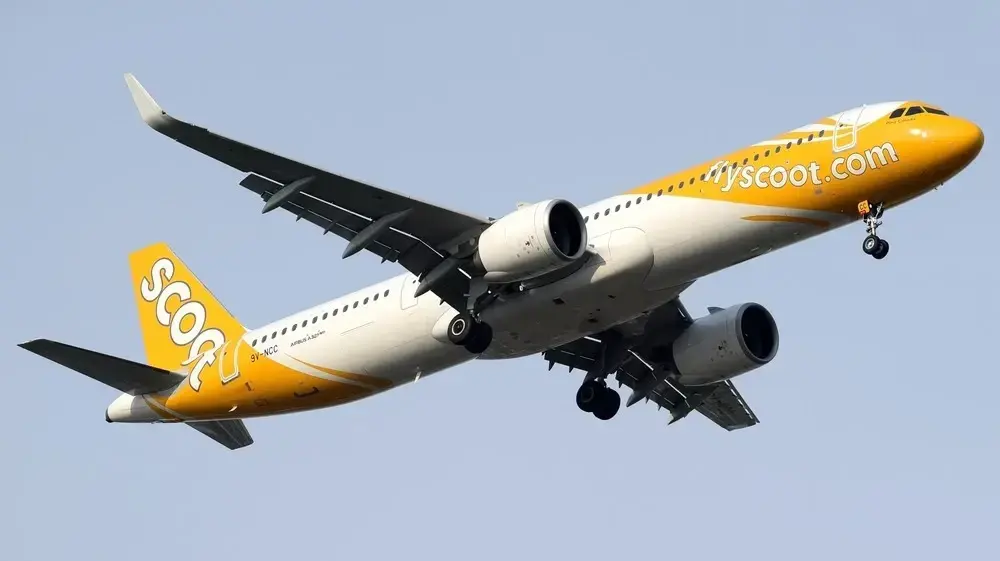 חברת הלואוקוסט Scoot חברת הלואוקוסט Scoot