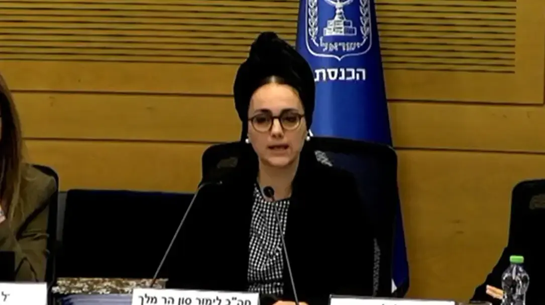 ח"כ לימור סון הר-מלך בוועדת הבריאות