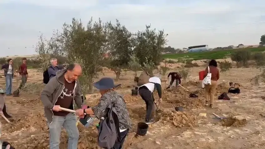 אירוע סולידריות נטיעות בכפר אבו אל-קרינאת
