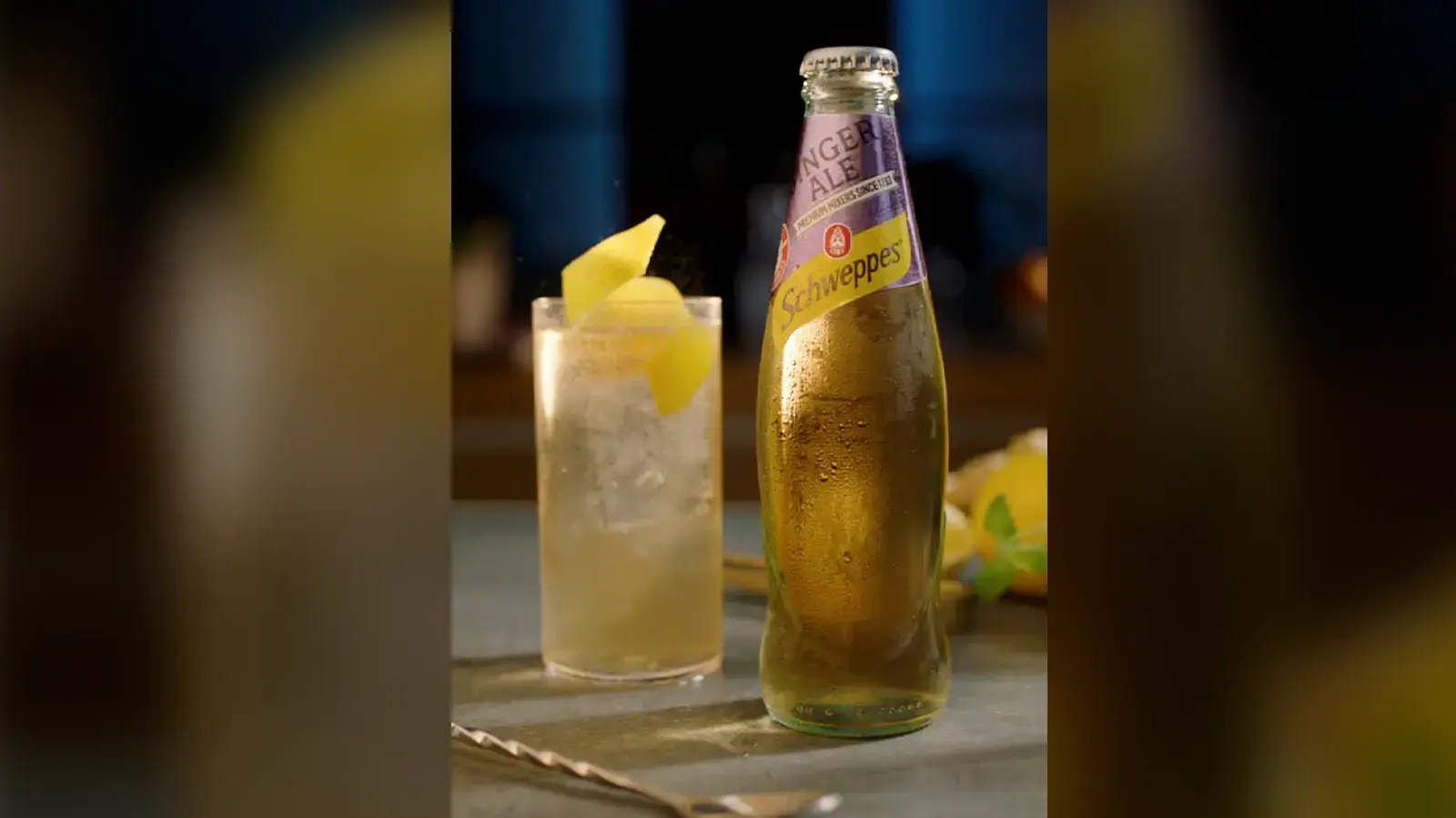 GIN GIN קוקטייל פסטיבל אהבה שוופס