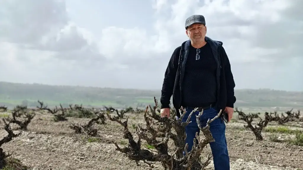 סוהיל, כורם, יקב רקנאטי