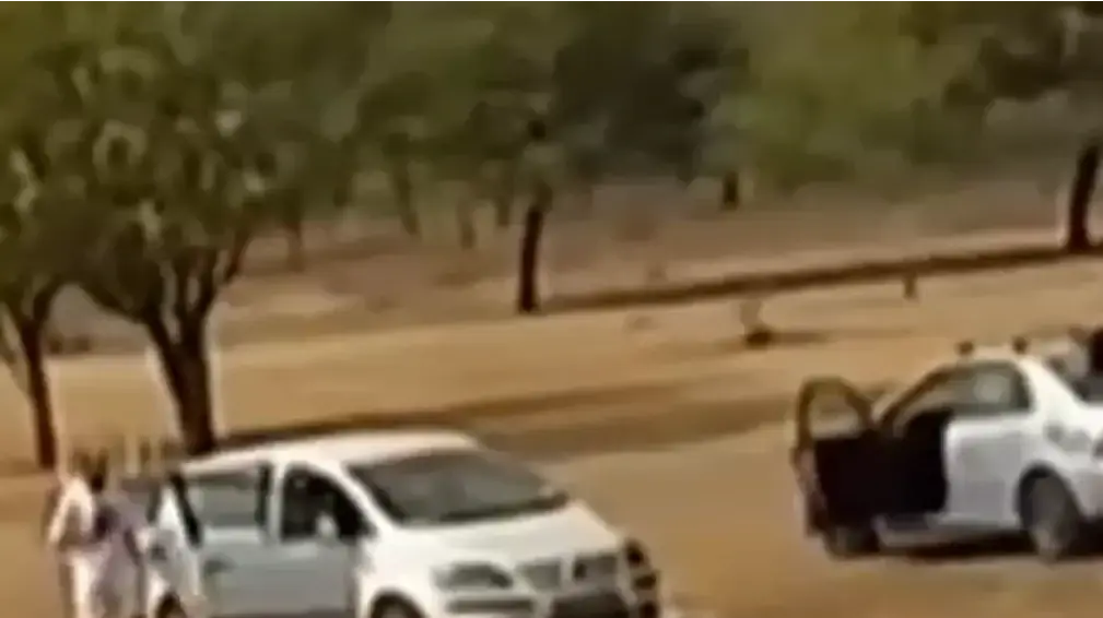 תיעוד הביזה במסיבת הנובה