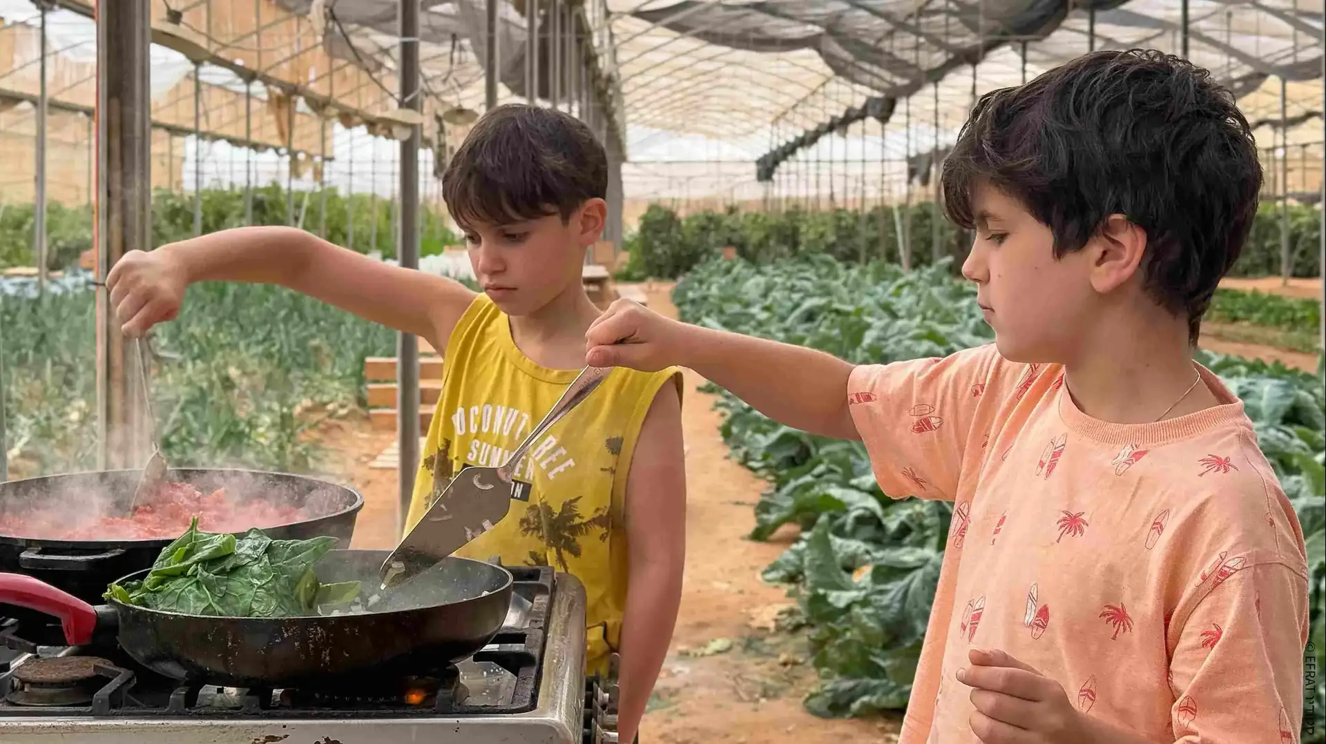 פסטיבל מהחממה לצלחת
