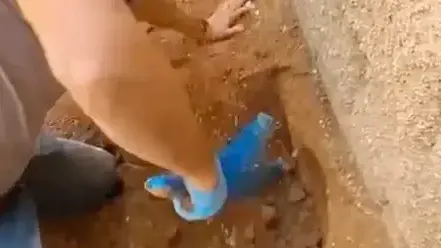 אמל"ח שהוסלק בדיר כבשים אותר בפזורה