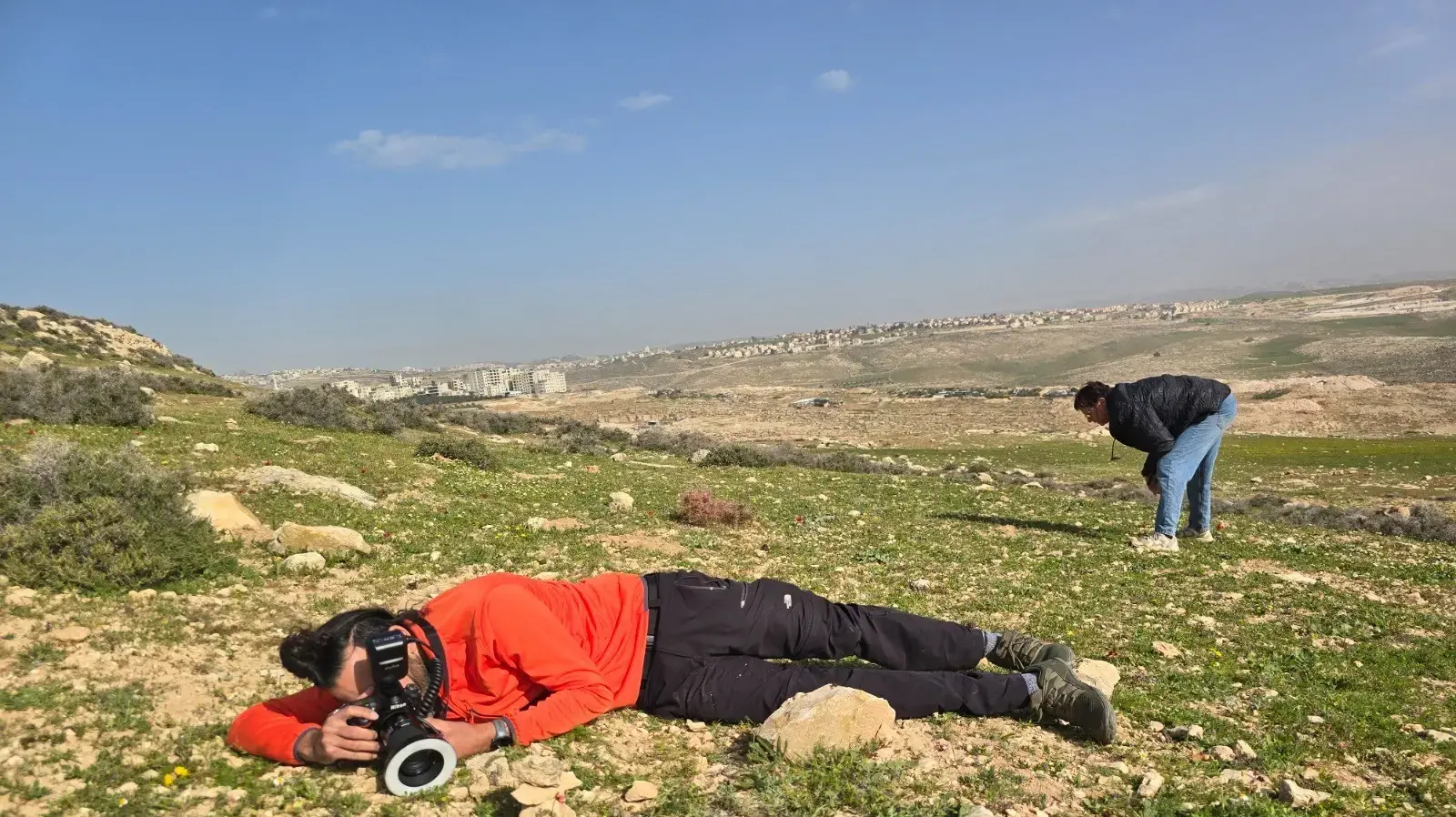 שקד בחבוט מתעד את הפומה הפרסית, 2026 שקד בחבוט מתעד את הפומה הפרסית, 2026