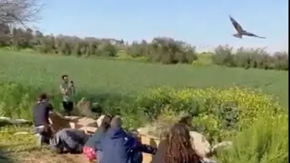 שחרור דיות