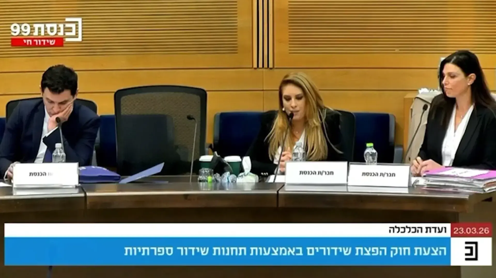 ח"כ שלי טל מירון, וועדת הכלכלה