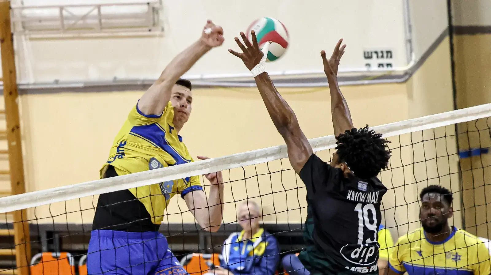 מכבי תל אביב בכדורעף
