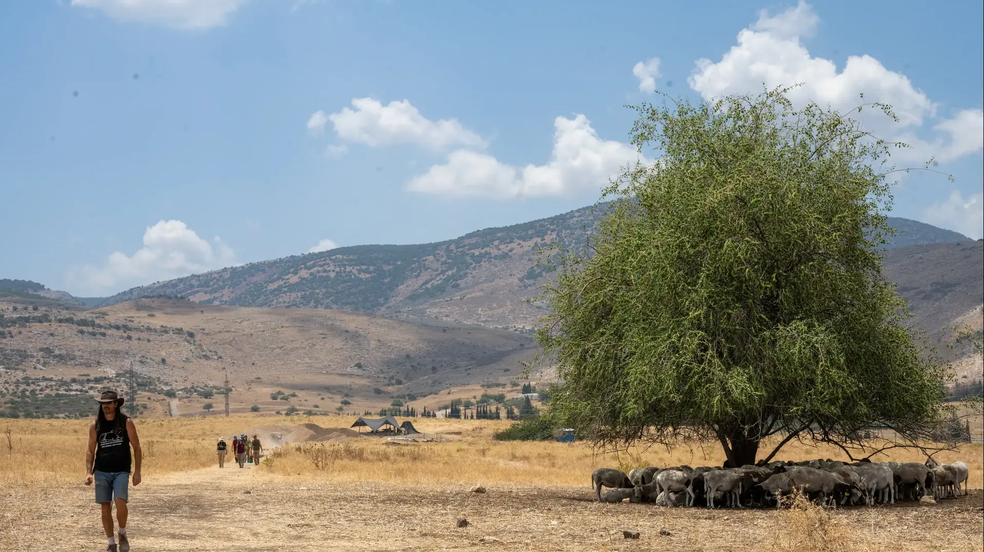 חפירות תל חצור