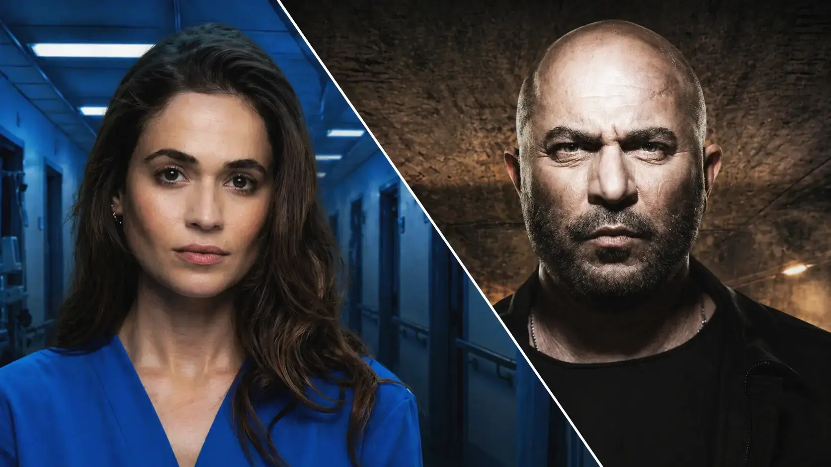 ליאור רז בסדרה "פאודה", ניב סולטן בסדרה "המתמחה"