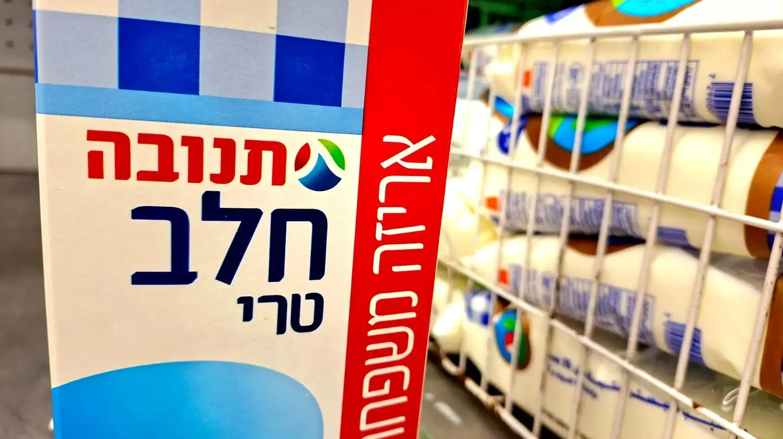 חלב תנובה