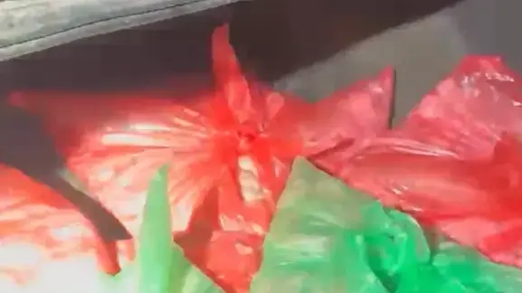 מוצרי עוף גנובים בתא המטען של החשוד